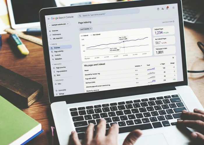 Google Search Console page indexing report example